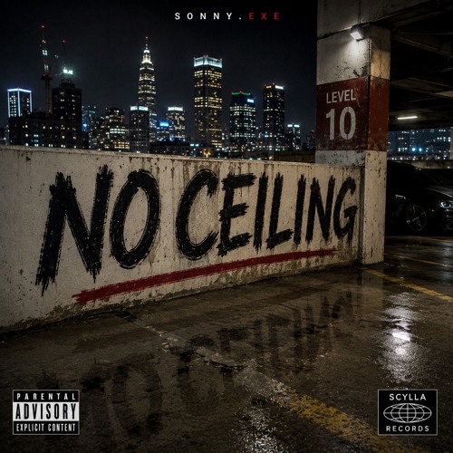 No Ceiling cover