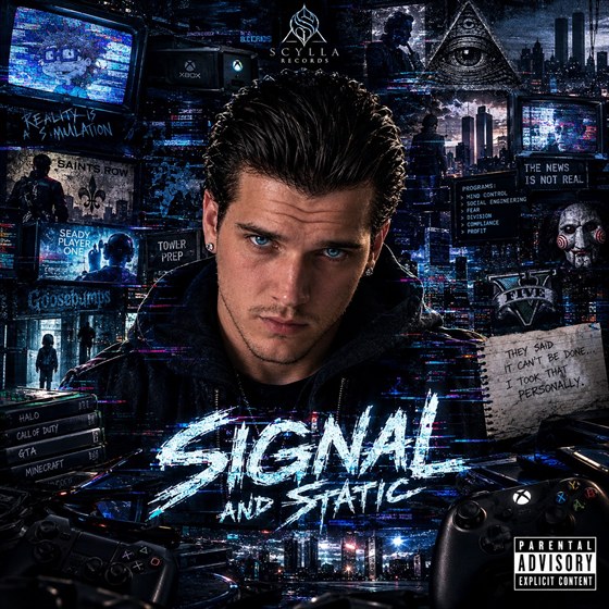 Signal in Static cover